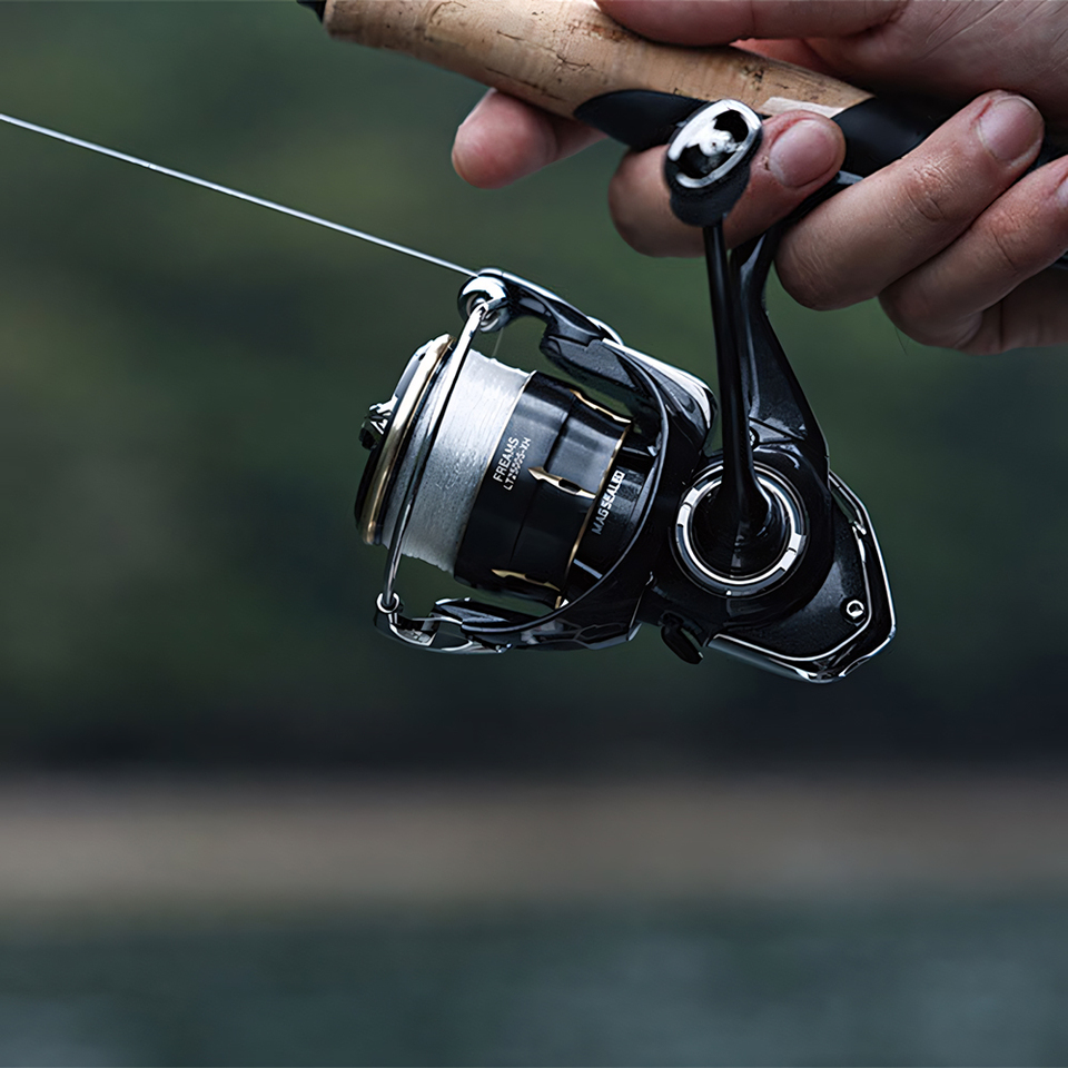 DAIWA 2026 FREAMS Spinning Ree - Daiwa Reel Fuego 评论和价格