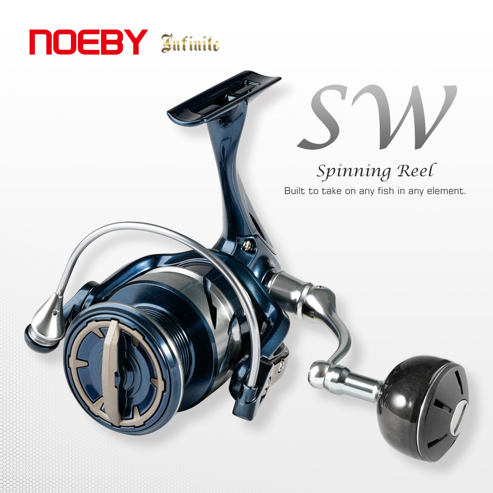 Noeby INFINITE SW Saltwater Sp - Penn Reel Fierce 评论和价格
